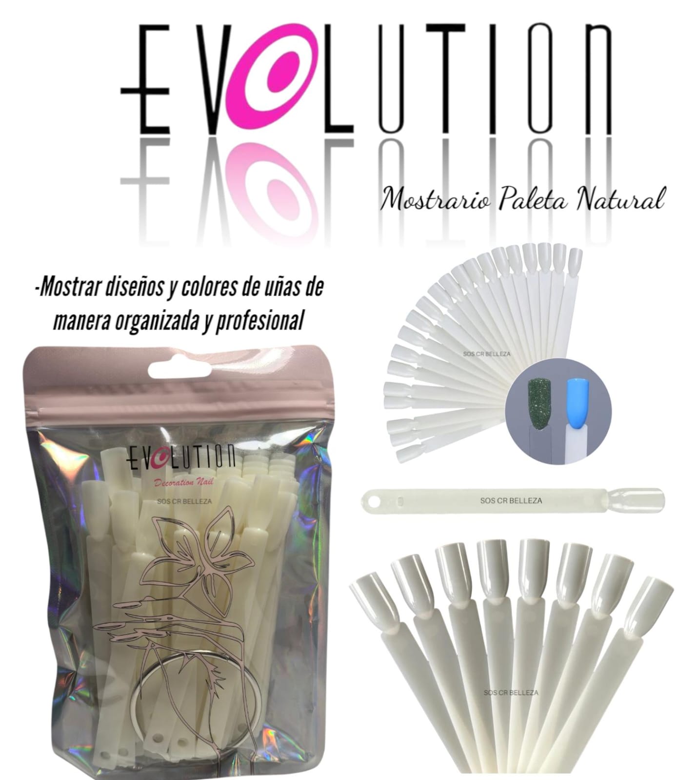 MOSTRARIO PALETA NATURAL 50UD