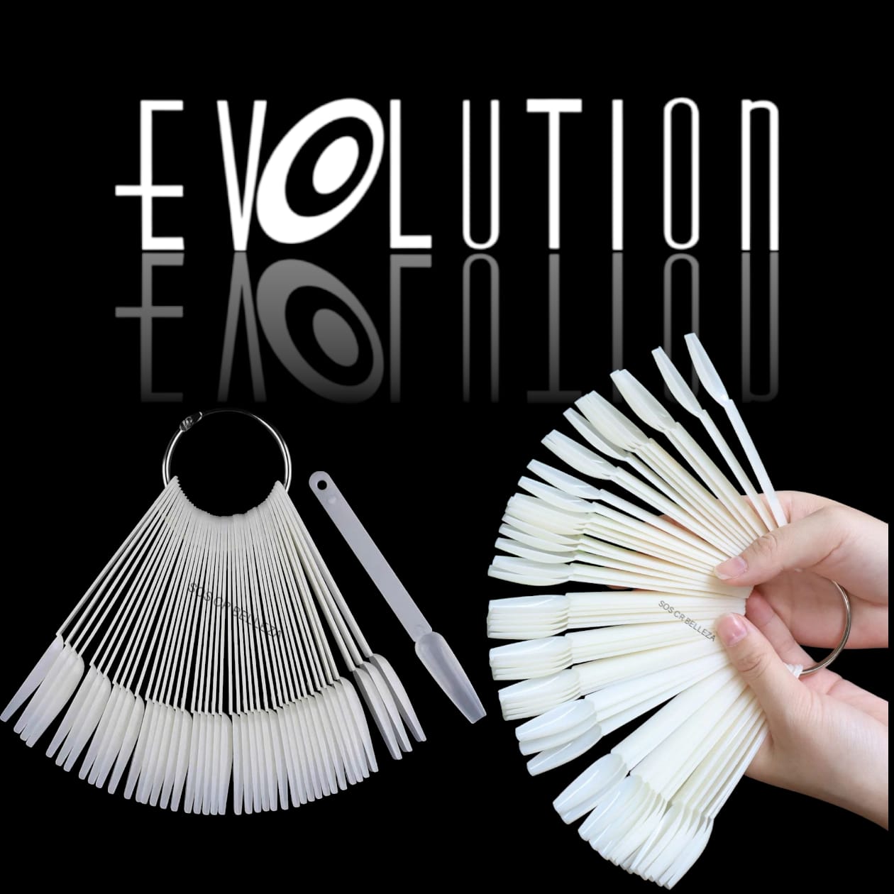 MOSTRARIO NATURAL COFFIN 50UD