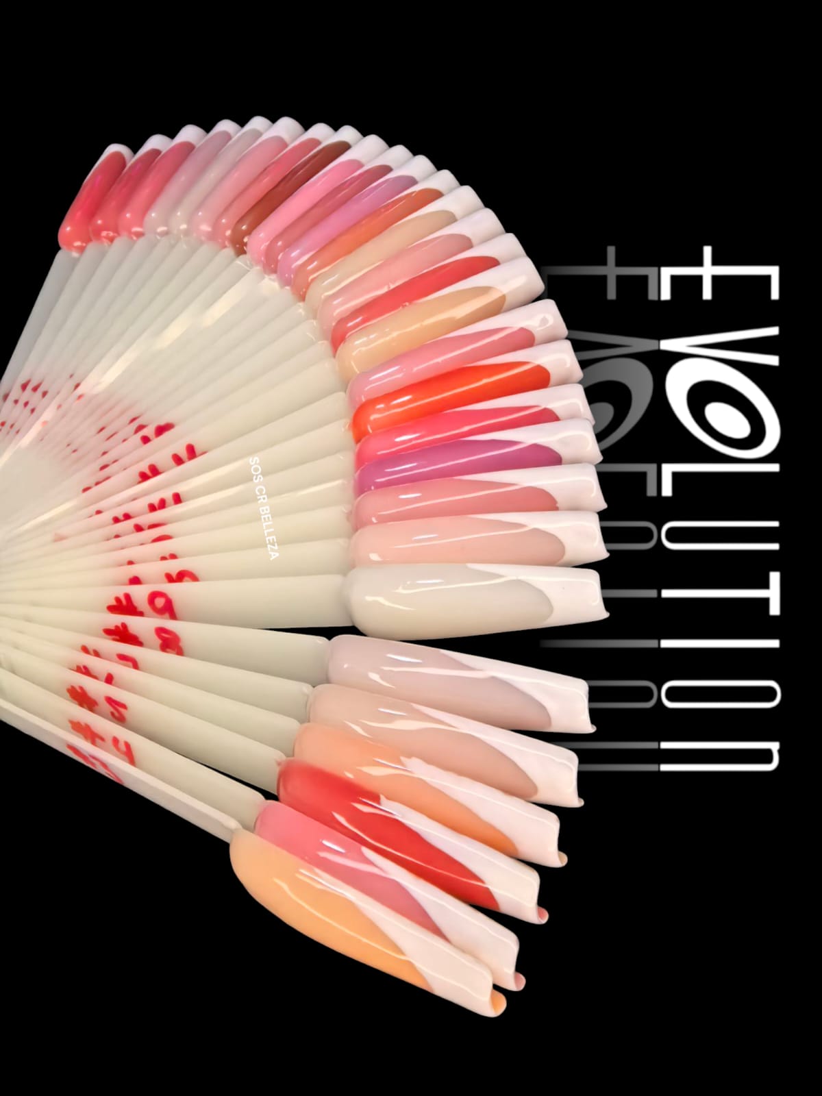 MOSTRARIO NATURAL COFFIN 50UD