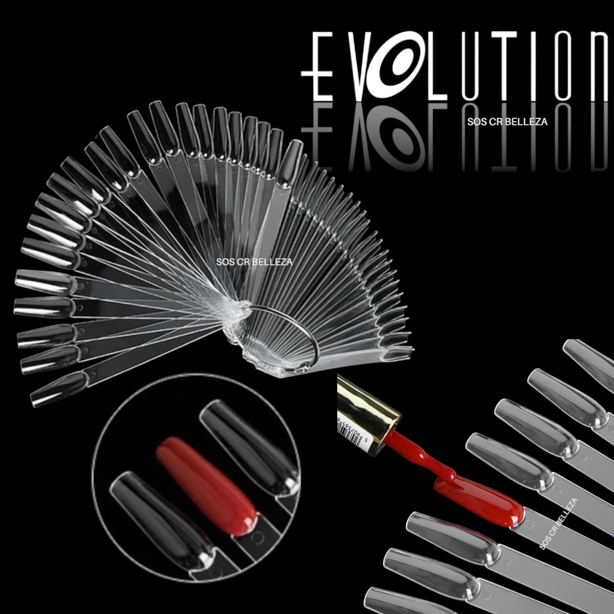 MOSTRARIO DE PALETA TRANSPARENTE 50UD